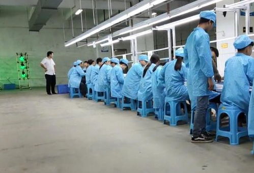 少年之殤 技術(shù)推廣下的工廠(chǎng)實(shí)習(xí)安全警示